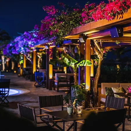 شاطئ أليون فندق أيا نابا