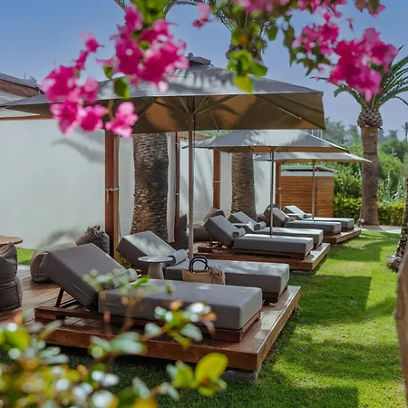 شاطئ أليون فندق