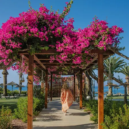 شاطئ أليون فندق