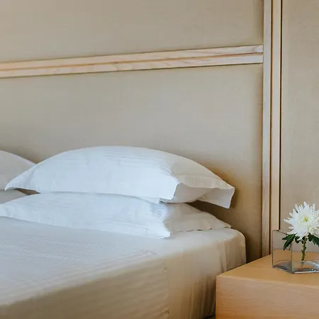 Alion 5* Ajía Nápa